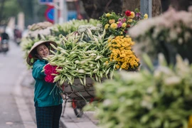 Cứ mỗi độ tháng Tư về, không hẹn mà gặp, người dân Thủ đô không khỏi ngẩn ngơ mà dừng xe lại bên mỗi xe hoa đầy ắp nụ loa kèn. (Ảnh: Minh Sơn/Vietnam+)