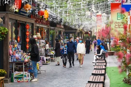 'Phố Sách xuân Tân Sửu 2021' đã được tổ chức tại Phố 19-12 (phường Trần Hưng Đạo, quận Hoàn Kiếm) vào dịp mùng 3 Tết Nguyên đán. (Ảnh: Minh Sơn/Vietnam+)