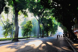 Nếu sống ở Thủ đô lâu năm, người ta sẽ không ngần ngại mà bao rằng mùa đẹp nhất trong năm của Hà Nội là mùa Thu. (Ảnh: Minh Sơn/Vietnam+) 