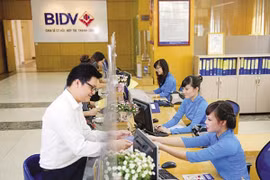 Ảnh minh họa. (Nguồn: BIDV)