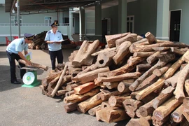 Ảnh minh họa. (Nguồn: TTXVN)