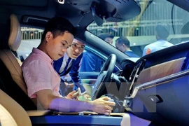 Ảnh minh họa. (Nguồn: TTXVN)