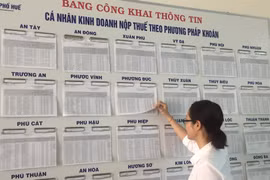 Ảnh minh họa. (Nguồn: PV/Vietnam+)