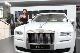 Ảnh minh họa. (Nguồn: Vietnam+)