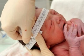 Ảnh chỉ có tính minh hoạ. (Nguồn: telesurtv.net)