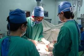 Ảnh chỉ có tính minh họa. (Ảnh: Thanh Thương/TTXVN)