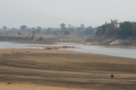 Ảnh chỉ có tính minh họa. (Ảnh: Hoài Nam/TTXVN)