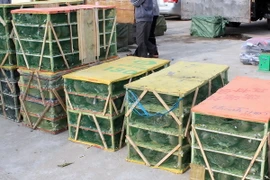 Ảnh chỉ có tính minh họa. (Ảnh: Nguyễn Hoàng/TTXVN)