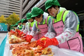 Làm kim chi ở Seoul, Hàn Quốc. (Ảnh: Yonhap/TTXVN)