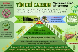 "Mở khóa" thị trường tín chỉ carbon cho Việt Nam