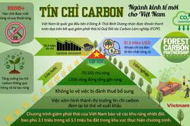 "Mở khóa" thị trường tín chỉ carbon cho Việt Nam