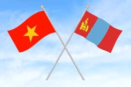 (Ảnh minh họa. Nguồn: Vietnam+)