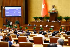 Quốc hội thông qua Nghị quyết về Kế hoạch phát triển kinh tế-xã hội năm 2025. (Ảnh: Doãn Tấn/TTXVN)