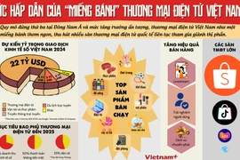 Sức hấp dẫn của "miếng bánh" thương mại điện tử Việt Nam