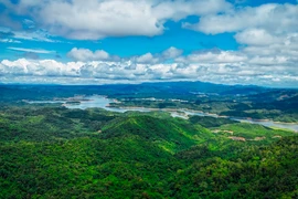 Rừng tại Đắk Nông có vai trò phòng hộ đầu nguồn rất quan trọng cho khu vực Tây Nguyên và các tỉnh miền Đông Nam bộ. (Ảnh: Minh Hưng/Vietnam+)