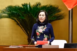 Phó Chủ tịch Quốc hội Nguyễn Thị Thanh điều hành phiên họp. (Ảnh: Doãn Tấn/TTXVN)