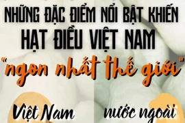 Vì sao hạt điều Việt Nam lại được đánh giá là "ngon nhất thế giới"?