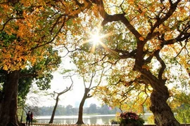 Bắc Bộ tiếp tục hanh khô, rủi ro thiên tai trên biển gia tăng