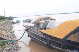 Giao cảng Giao Long cho Tổng Công ty Tân Cảng Sài Gòn khai thác
