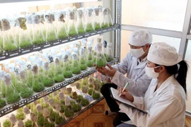 Công nghệ quyết định sự gia tăng giá trị sản phẩm nông nghiệp