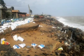 Triều cường lại “nuốt chửng” 100m đường chạy dọc biển Phú Yên