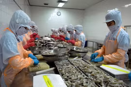Xuất khẩu tôm đạt mức cao kỷ lục 4,1 tỷ USD trong năm 2014