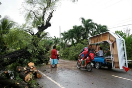 Số người thiệt mạng do bão Seniang tại Philippines lên tới 35 người