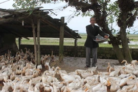 Cựu chiến binh Hải Dương tương trợ nhau phát triển kinh tế