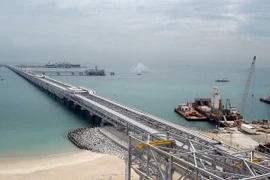 Các "đại gia" dầu mỏ cũng gặp khó sau quyết định của OPEC