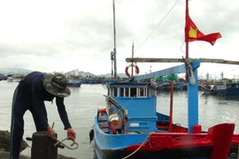 Bình Định khẩn trương tìm kiếm tàu cá bị mất liên lạc trên biển