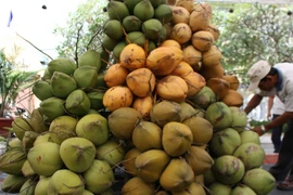 Huy động 20 tỷ đồng tổ chức Lễ hội dừa bằng hình thức xã hội hóa