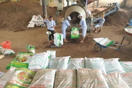 Những hệ lụy do sử dụng phân bón tràn lan trong sản xuất nông nghiệp