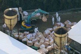 Nhật Bản xác nhận thêm ổ nhiễm cúm gia cầm mới ở tây nam