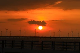 Chiêm ngưỡng vẻ đẹp hoàng hôn trên ‘cánh đồng điện gió’ ở Bạc Liêu