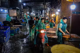 Chợ cá lớn nhất Thủ đô 'trắng đêm' chuẩn bị tiễn ông Táo về trời 