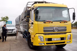 Kiểm tra và tiêu độc khử trùng xe vận chuyển gia súc trên Quốc lộ 1A. (Ảnh Công Tường/TTXVN)