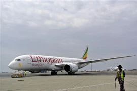 Máy bay Boeing 787 Dreamliner của Hãng hàng không Ethiopian Airlines tại sân bay quốc tế Bole ở Addis Ababa, Ethiopia. (Nguồn: AFP/TTXVN)