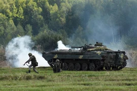 Trong ngành quốc phòng Ukraine đang tồn tại một dạng công ty ma. Ảnh minh họa. (Nguồn: AFP/TTXVN)