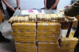 Tang vật một vụ vận chuyển ma túy. (Ảnh minh họa: TTXVN/phát)