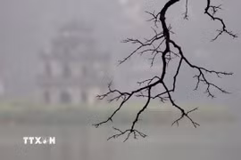 Không khí Hà Nội ở mức "không tốt cho các nhóm nhạy cảm." (Nguồn: TTXVN)