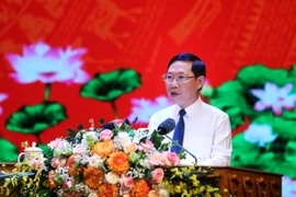 Chủ tịch UBND tỉnh Bắc Giang Lê Ánh Dương. (Ảnh: Danh Lam/TTXVN)