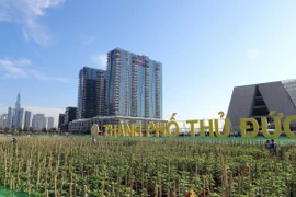 Cánh đồng hoa hướng dương tại khu vực Công viên bờ sông Sài Gòn, thành phố Thủ Đức. (Ảnh: TTXVN phát)