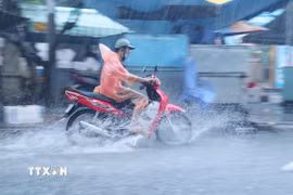 Ảnh minh họa. (Nguồn: TTXVN)
