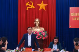 Bộ trưởng Bộ Ngoại giao Bùi Thanh Sơn phát biểu tại buổi làm việc. (Ảnh: Dư Toán/TTXVN)