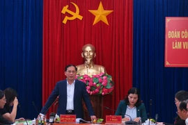 Bộ trưởng Bộ Ngoại giao Bùi Thanh Sơn phát biểu tại buổi làm việc. (Ảnh: Dư Toán/TTXVN)