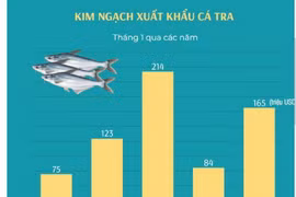 Xuất khẩu cá tra tăng gần gấp đôi trong tháng đầu tiên của năm