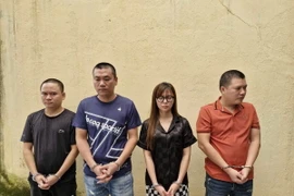 Các bị can trong đường dây “Lừa đảo chiếm đoạt tài sản; sử dụng mạng máy tính, mạng viễn thông, phương tiện điện tử thực hiện hành vi chiếm đoạt tài sản và rửa tiền.” (Ảnh: TTXVN phát)