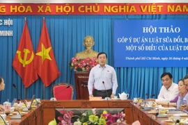 Quang cảnh Hội thảo. (Ảnh: Đinh Hằng/TTXVN)