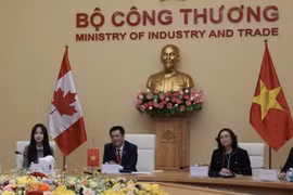 Bộ trưởng Nguyễn Hồng Diên phát biểu tại kỳ họp. (Ảnh: Trần Việt/TTXVN)
