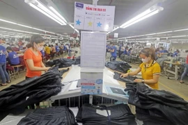 May hàng xuất khẩu tại Nhà máy May TNG Đại Từ, tỉnh Thái Nguyên thuộc Công ty cổ phần Đầu tư và Thương mại TNG. (Ảnh: Trần Việt/TTXVN)